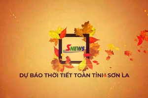 'Dự báo thời tiết toàn tỉnh Sơn La ngày 23/7/2026