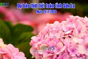 'Dự báo thời tiết toàn tỉnh Sơn La ngày 25/7/2026