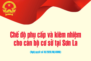 Chế độ phụ cấp và kiêm nhiệm cho cán bộ cơ sở tại Sơn La