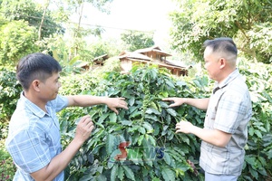 'Đánh thức tiềm năng mở hướng làm giàu