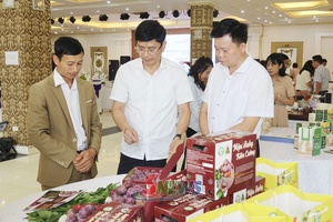 'Nâng tầm giá trị sản phẩm OCOP