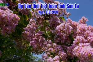 'Dự báo thời tiết toàn tỉnh Sơn La ngày 8/8/2026