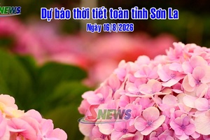 'Dự báo thời tiết toàn tỉnh Sơn La ngày 16/8/2026