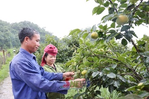 'Diện mạo mới Phiêng Cằm