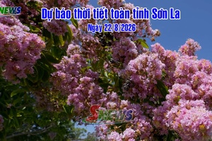 'Dự báo thời tiết toàn tỉnh Sơn La ngày 22/8/2026