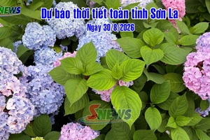 'Dự báo thời tiết toàn tỉnh Sơn La ngày 30/8/2026