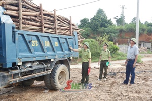 'Tăng cường quản lý cơ sở chế biến lâm sản
