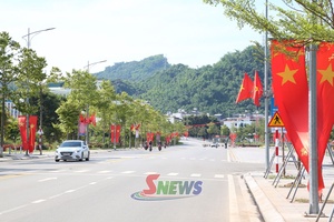 Đi qua những mùa thu độc lập