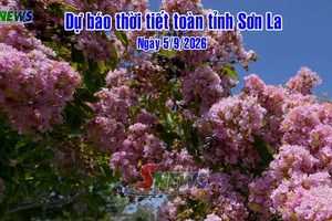 'Dự báo thời tiết toàn tỉnh Sơn La ngày 5/9/2026