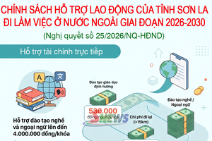 'Chính sách hỗ trợ người lao động của tỉnh Sơn La đi làm việc ở nước ngoài giai đoạn 2026-2030