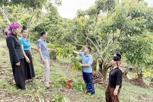 'Thúc đẩy phát triển kinh tế ở Mường Lầm