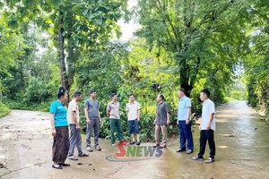 'Động lực giữ rừng bền vững