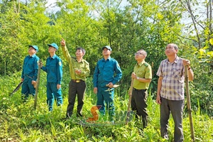 'Giữ những cánh rừng xanh biên giới