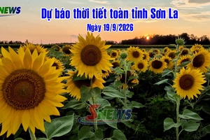 'Dự báo thời tiết toàn tỉnh Sơn La ngày 19/9/2026