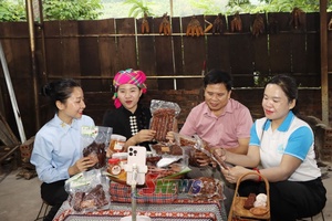 'Đồng hành cùng nhân dân phát triển kinh tế