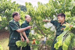 'Đồng hành cùng hợp tác xã phát triển bền vững