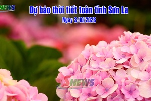 'Dự báo thời tiết toàn tỉnh Sơn La ngày 3/10/2026