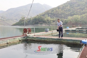 'Lan tỏa phong trào thi đua yêu nước