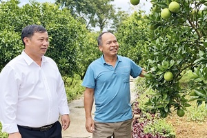 Lan tỏa các mô hình "Dân vận khéo"