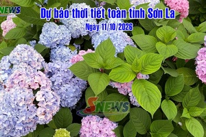 'Dự báo thời tiết toàn tỉnh Sơn La ngày 11/10/2026
