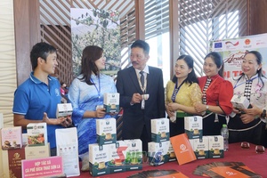 'Phát triển cà phê bền vững theo hướng sinh thái