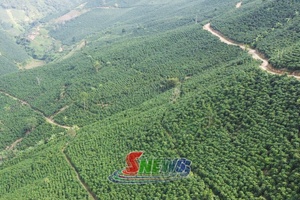 'Hương cà phê gọi bốn phương