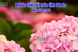 'Dự báo thời tiết toàn tỉnh Sơn La ngày 17/10/2026