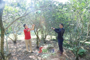 'Mường Hung lan tỏa phong trào “Dân vận khéo”