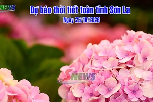 'Dự báo thời tiết toàn tỉnh Sơn La ngày 25/10/2026