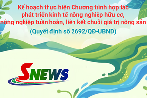 'Kế hoạch thực hiện Chương trình hợp tác phát triển kinh tế nông nghiệp hữu cơ, nông nghiệp tuần hoàn, liên kết chuỗi giá trị nông sản