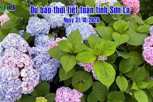 'Dự báo thời tiết toàn tỉnh Sơn La ngày 31/10/2026
