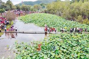 'Khám phá hồ sen Hua Nhàn