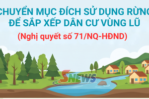 'Chuyển mục đích sử dụng rừng để sắp xếp dân cư vùng lũ
