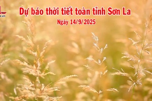 'Dự báo thời tiết toàn tỉnh Sơn La ngày 14/9/2025