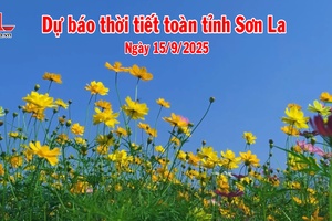 'Dự báo thời tiết toàn tỉnh Sơn La ngày 15/9/2025