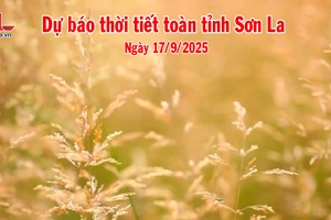 'Dự báo thời tiết toàn tỉnh Sơn La ngày 17/9/2025