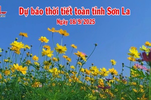 'Dự báo thời tiết toàn tỉnh Sơn La ngày 18/9/2025