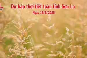 'Dự báo thời tiết toàn tỉnh Sơn La ngày 19/9/2025