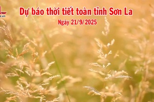 'Dự báo thời tiết toàn tỉnh Sơn La ngày 21/9/2025