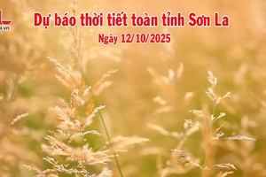 'Dự báo thời tiết toàn tỉnh Sơn La ngày 12/10/2025