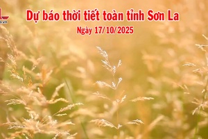 'Dự báo thời tiết toàn tỉnh Sơn La ngày 17/10/2025
