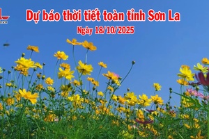 'Dự báo thời tiết toàn tỉnh Sơn La ngày 18/10/2025