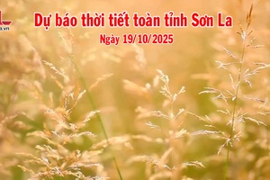 'Dự báo thời tiết toàn tỉnh Sơn La ngày 19/10/2025