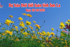 'Dự báo thời tiết toàn tỉnh Sơn La ngày 20/10/2025