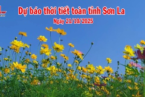 'Dự báo thời tiết toàn tỉnh Sơn La ngày 21/10/2025