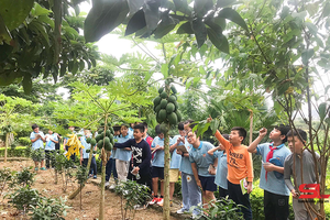 Đổi mới giáo dục cho trẻ em, vì trẻ em