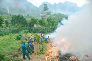Thành phố diễn tập ứng phó cháy rừng và tìm kiếm cứu nạn