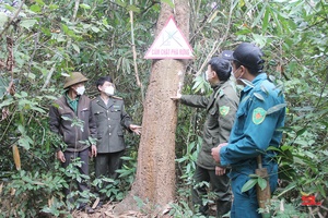Mộc Châu quản lý, bảo vệ và phát triển rừng