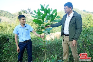 Thêm nguồn lực để người dân giữ rừng