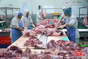 Hàng Tết đủ nguồn cung, tăng giá nhẹ